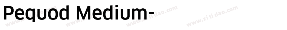 Pequod Medium字体转换